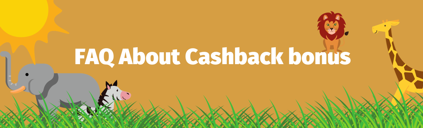 FAQ about cashback bonuses